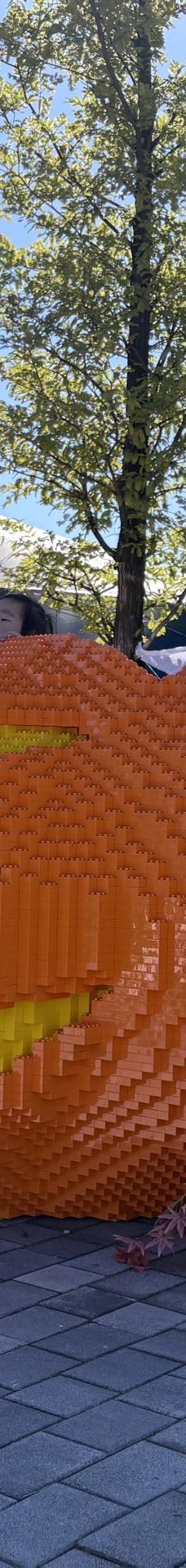 韩国乐高乐园-春川市-YoYo_6R1D8I1E