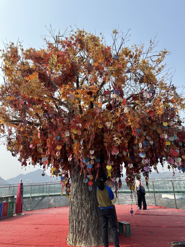 杉木湖景区旅行图片 3