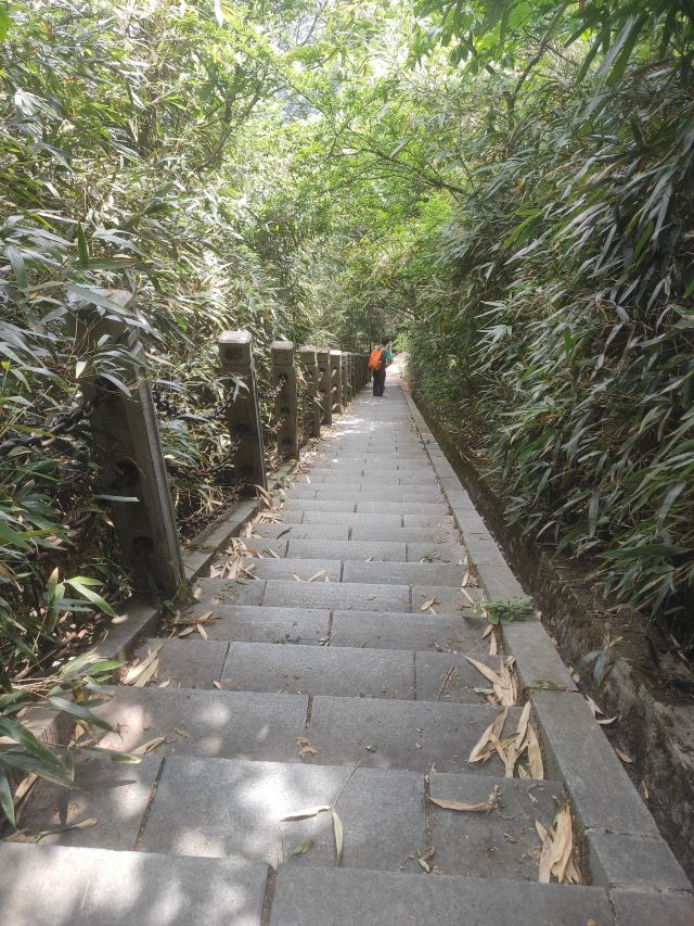 天台国家森林公园天台山索道旅行图片 4