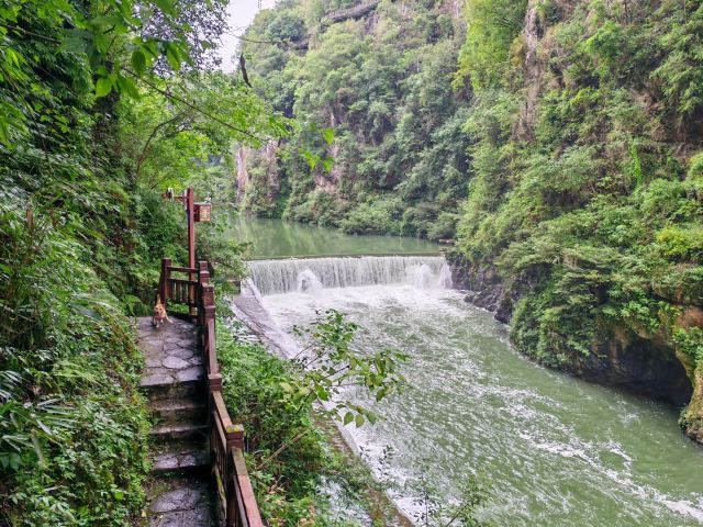 洒金公园旅行图片 1
