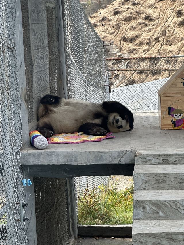 林胡古塞旅行图片 2