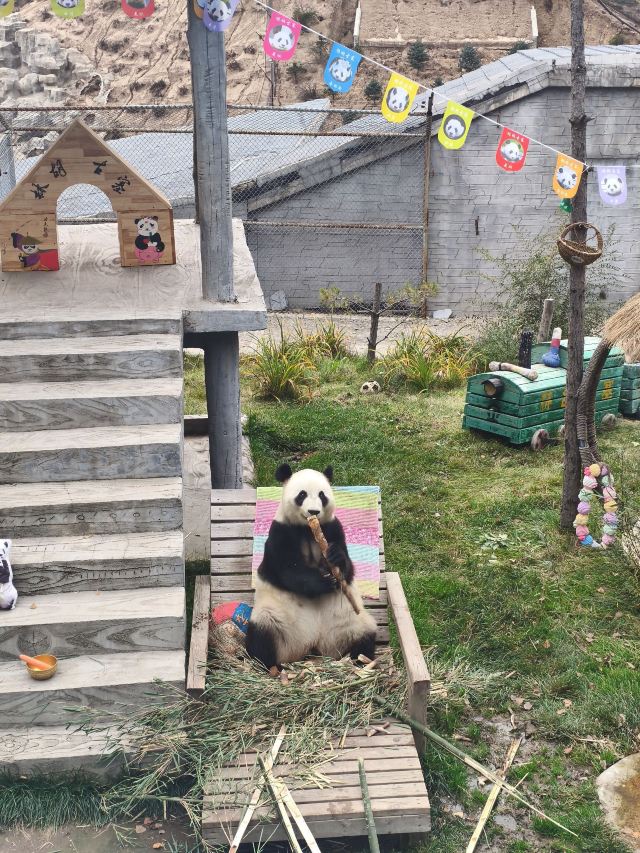 林胡古塞旅行图片 2