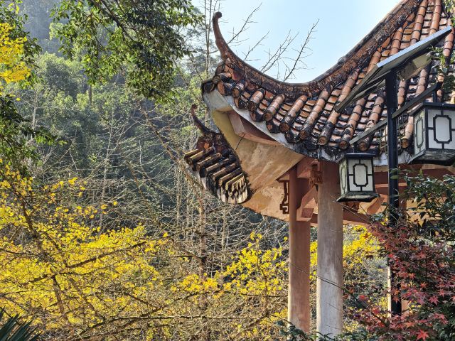 南雄帽子峰旅游景区旅行图片 1