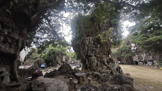 石景林景区旅行图片 3