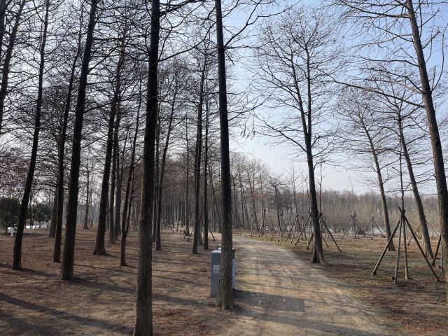 上海东滩湿地公园旅行图片 4