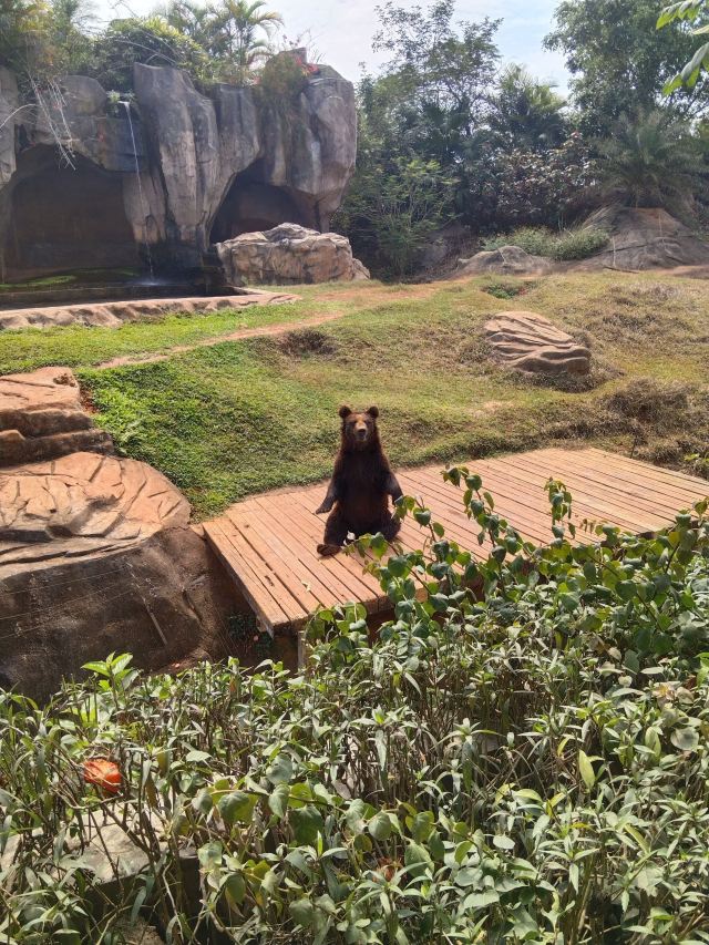 海南热带野生动植物园旅行图片 1