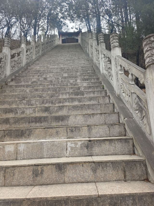 古大散关遗址森林公园旅行图片 1