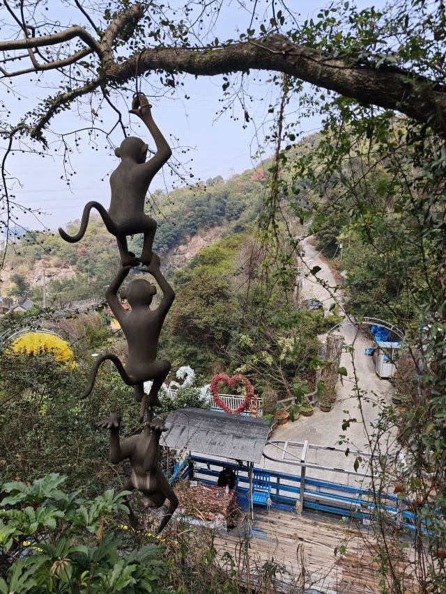 吹台山森林公园旅行图片 9