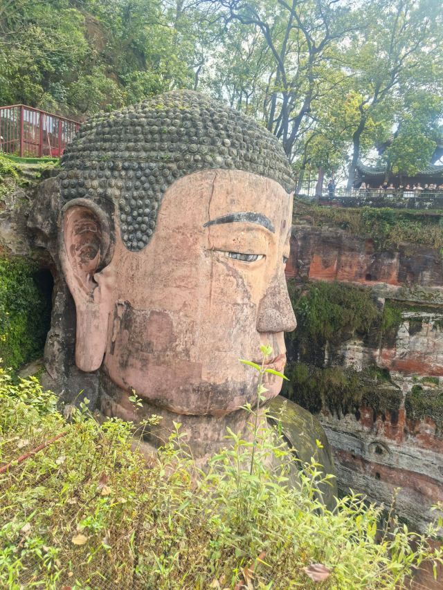 乐山大佛旅行图片 6