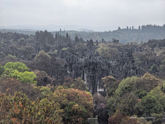 石林风景区旅行图片 4