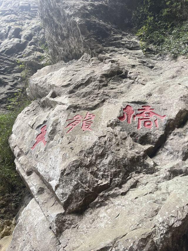 武隆喀斯特旅游区旅行图片 8