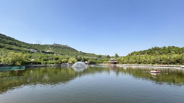 宝山前野生动物园旅行图片 1