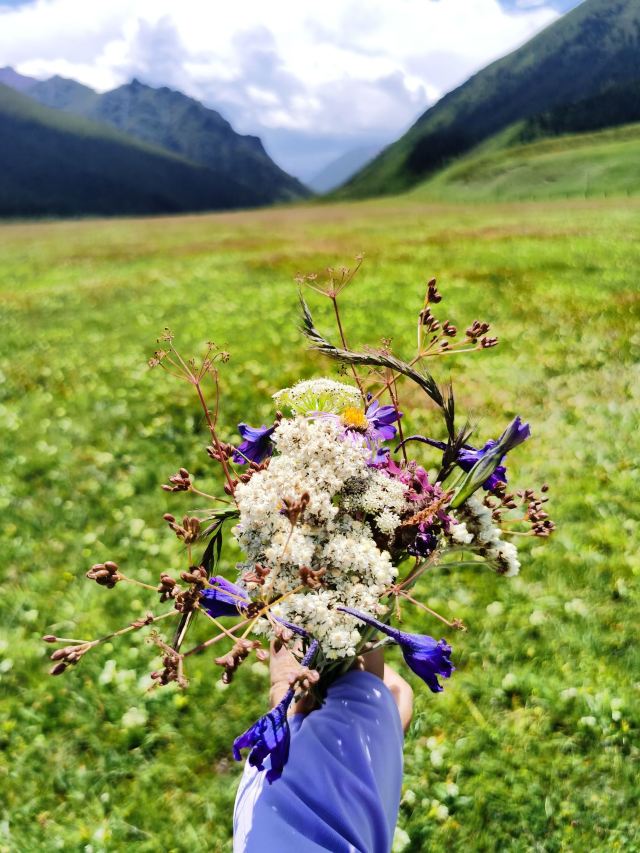山丹皇家马场景区(暂停开放)旅行图片 8