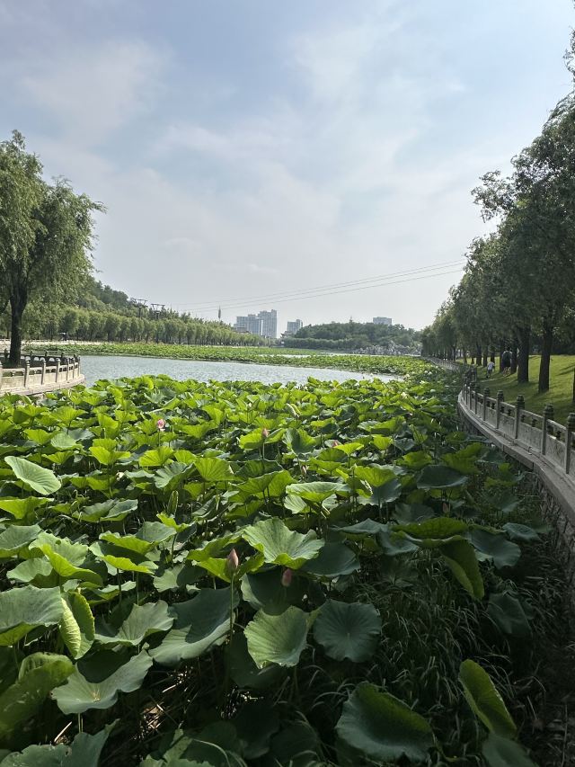 南戴河国际娱乐中心(暂停营业)旅行图片 1
