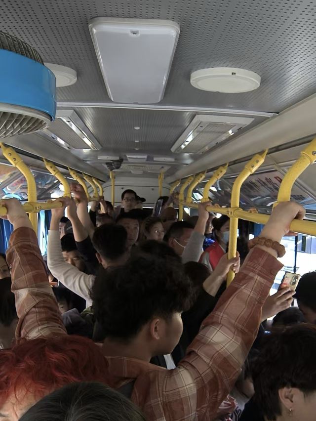 世界风筝公园旅行图片 3