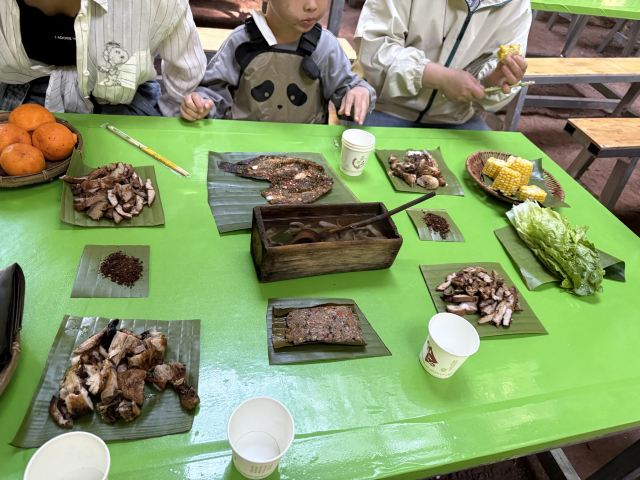 基诺山巴朵村雨林徒步旅行图片 3