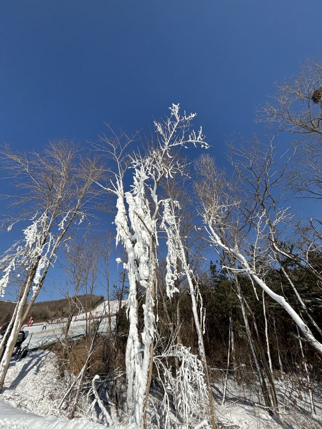 铭湖国际温泉滑雪度假园区旅行图片 1