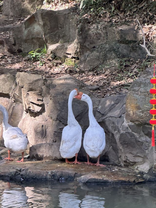兰亭景区旅行图片 6
