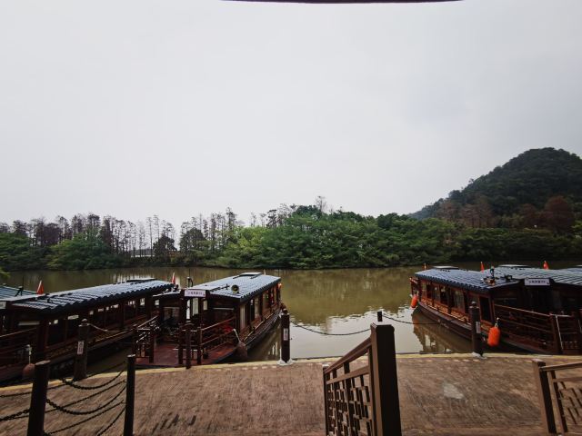 小鸟天堂旅行图片 7