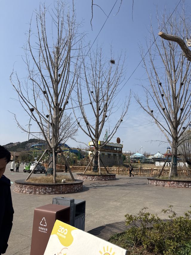 徐州九顶山野生动物园旅行图片 1