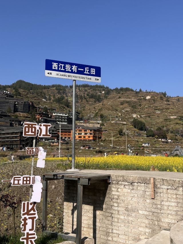 西江千户苗寨旅行图片 7