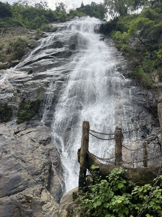 海南百花岭热带雨林文化旅游区-小卖部旅行图片 1