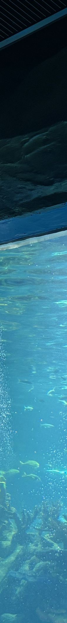 呼和浩特-yan rui lin