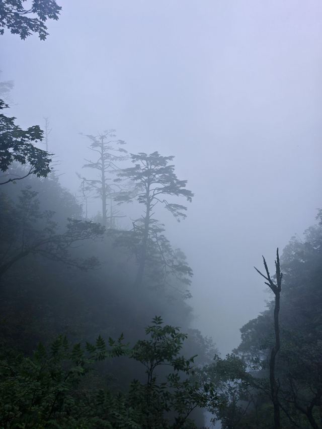 青岛中山路城市记忆馆旅行图片 5