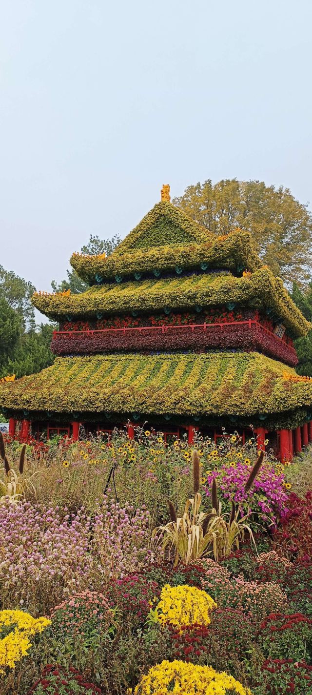 北海公园旅行图片 7
