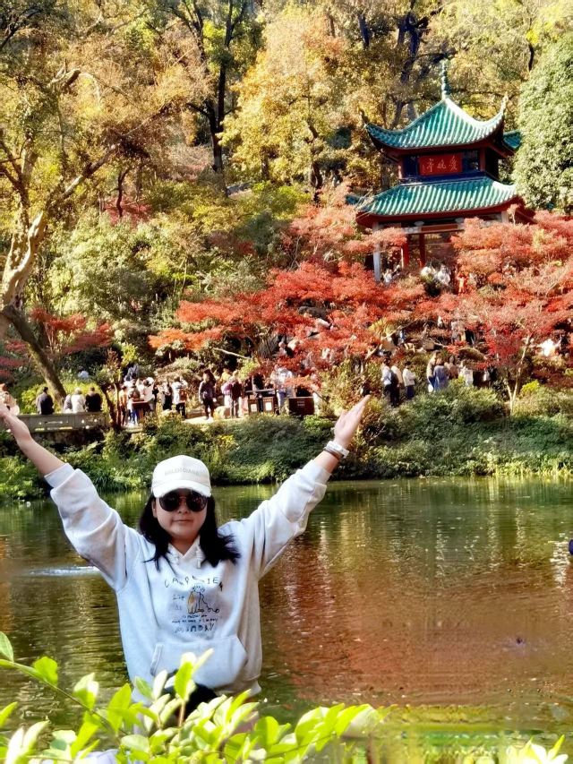 天岳幕阜山森林公园旅行图片 2