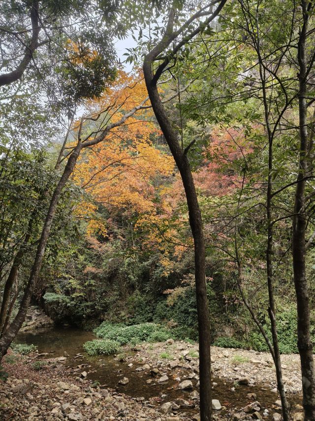 龙王潭生态旅游区旅行图片 1