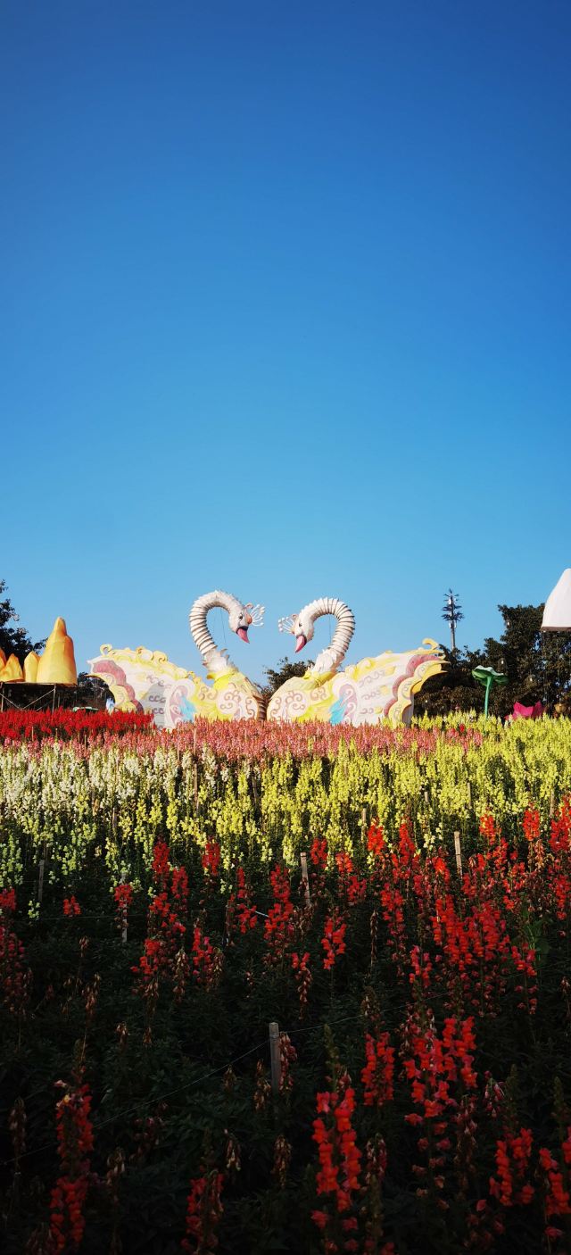 音乐·百花谷旅行图片 5