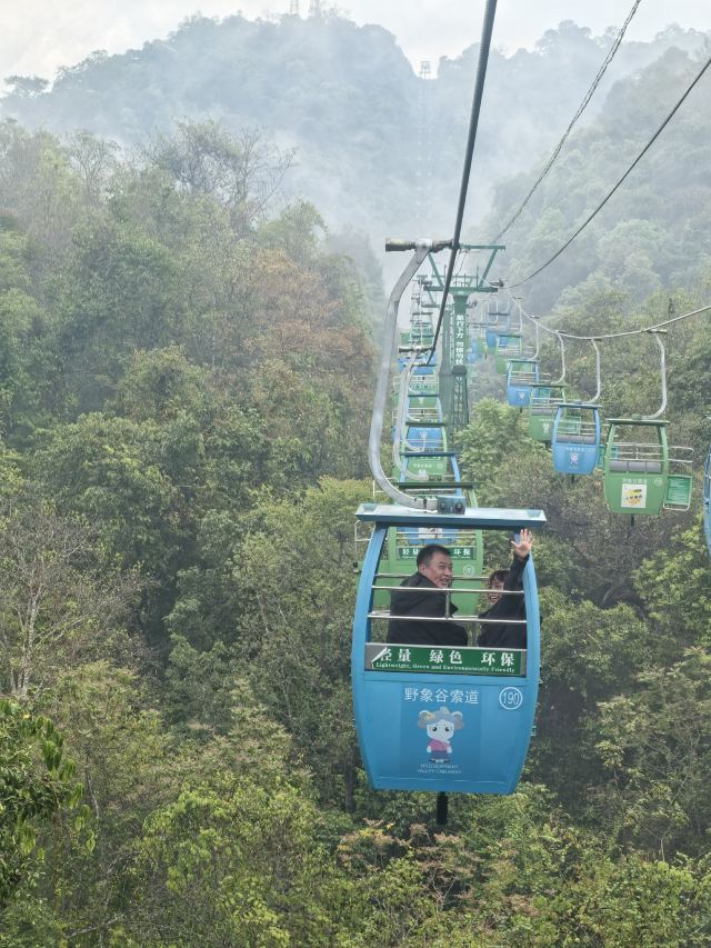 野象谷景区旅行图片 1