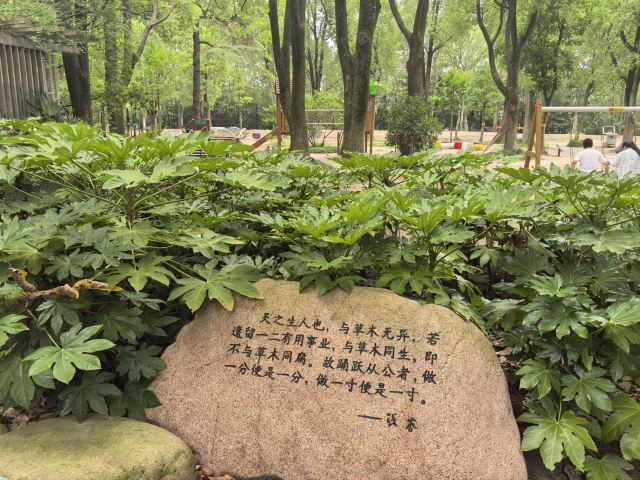 啬园旅行图片 5