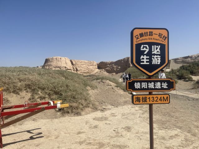 锁阳城遗址旅行图片 1