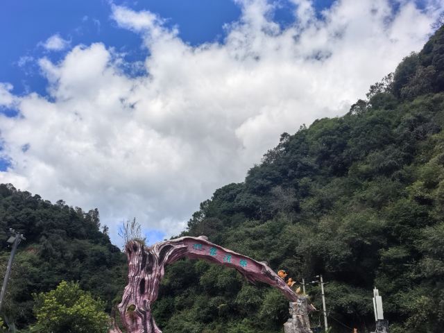 霖溪林风景区旅行图片 1
