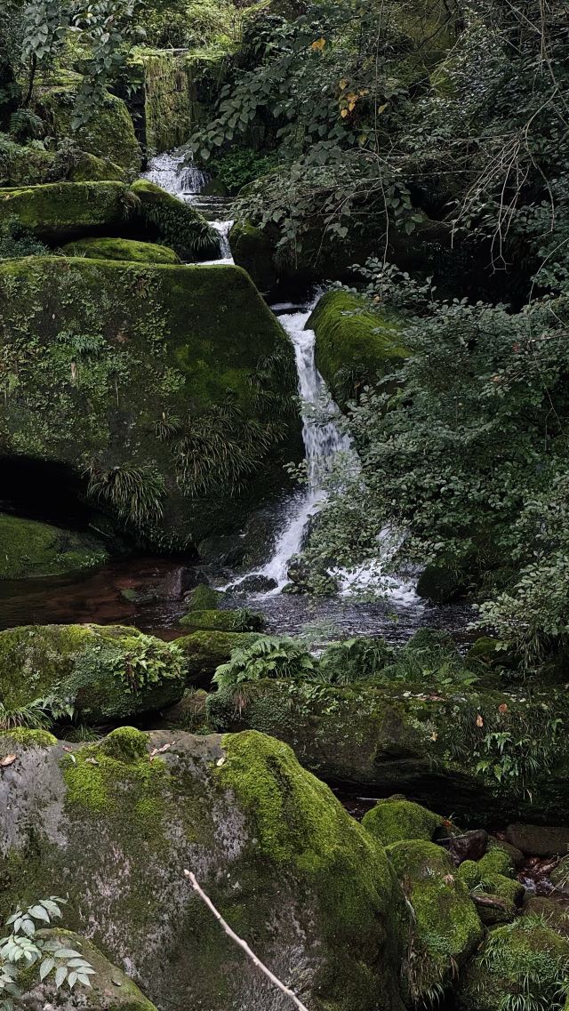 成都天台山旅游景区旅行图片 3