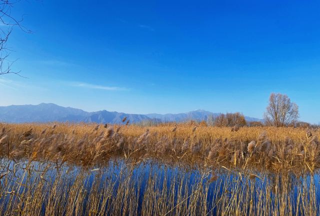 野鸭湖国家湿地公园旅行图片 3