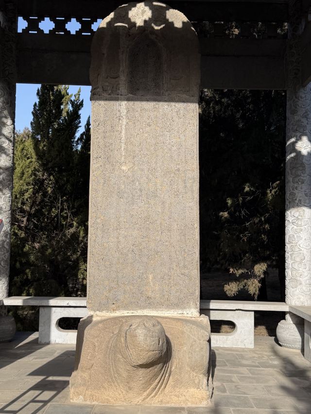 司马温公祠旅行图片 4