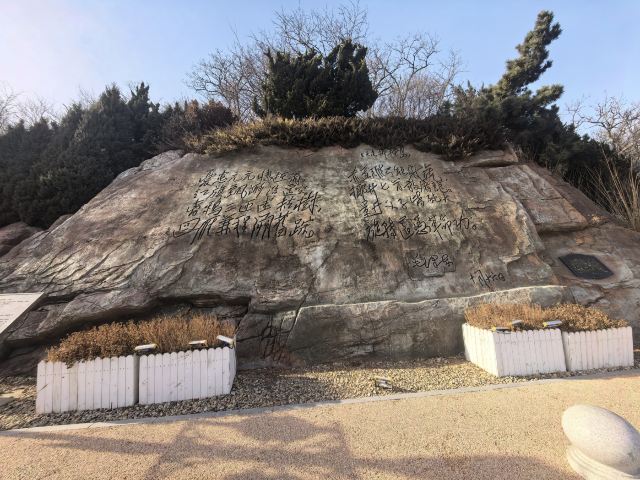 棒棰岛旅行图片 2