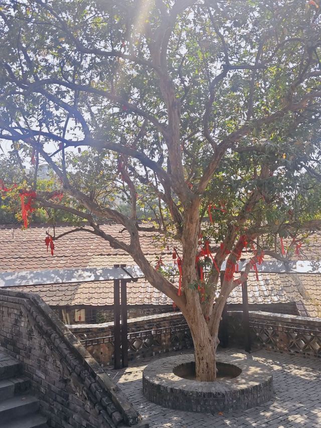 南风古灶旅行图片 7