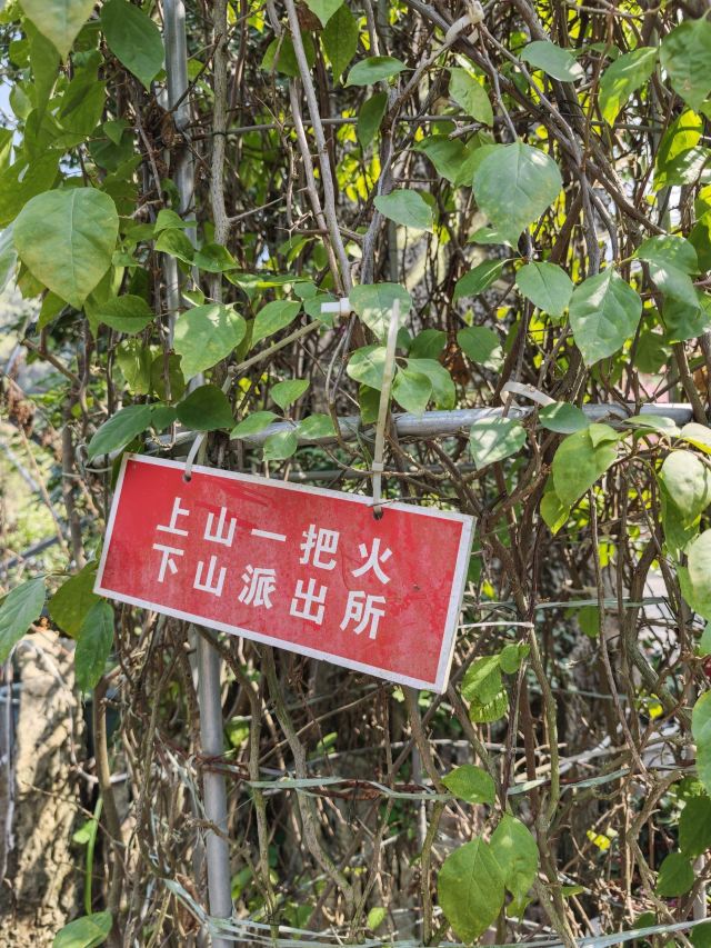 吹台山森林公园旅行图片 1