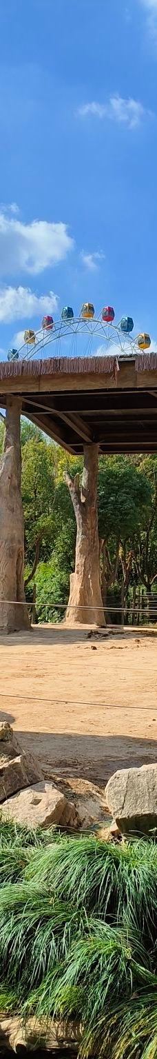 上海野生动物园-上海-_szai****1631