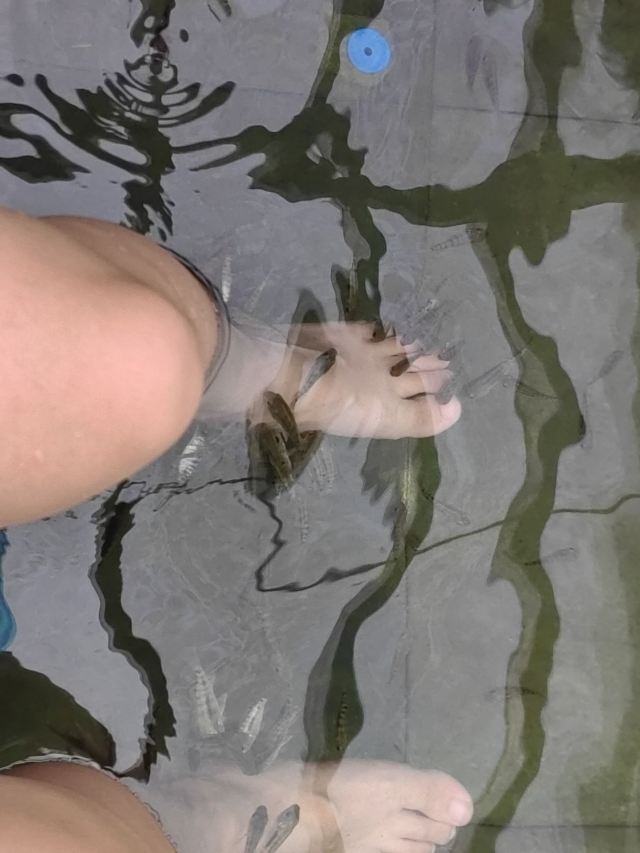 蓝山源岭南东方温泉旅行图片 1