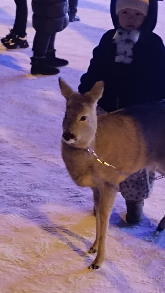 中国牡丹江雪堡旅行图片 2