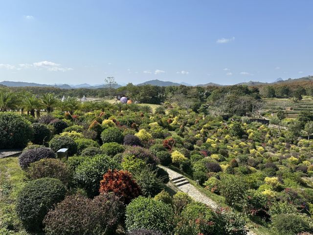 云舍松涛·海南中国村旅行图片 4