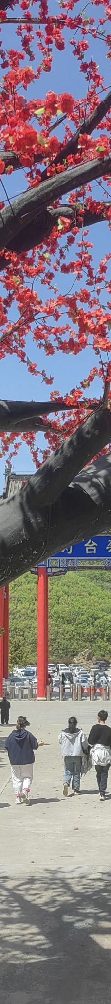 灯台架景区-舞钢-大学生爱旅游