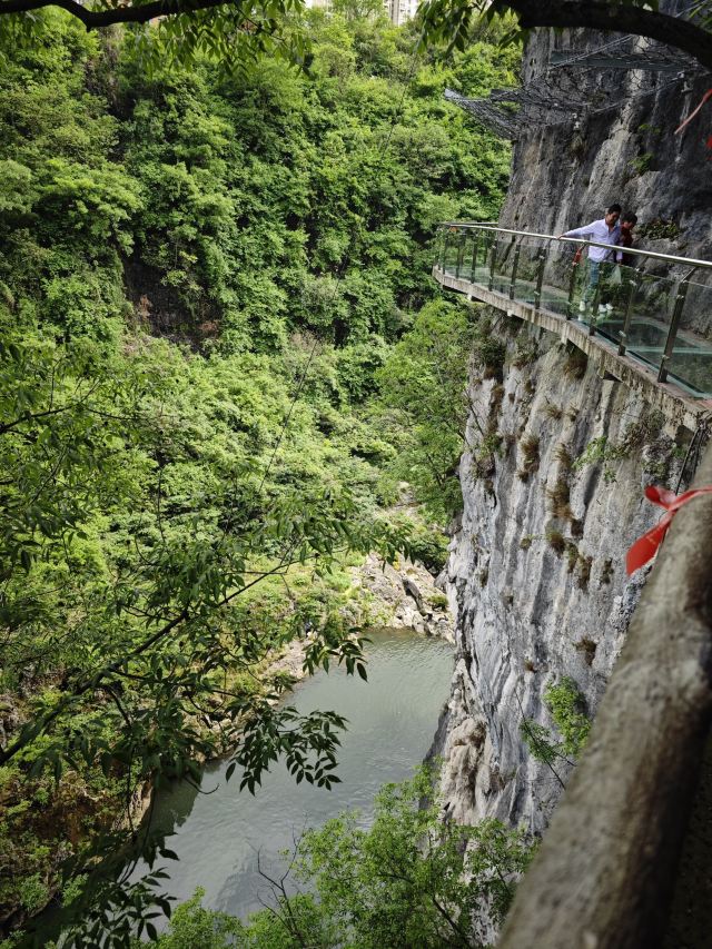洒金公园旅行图片 5