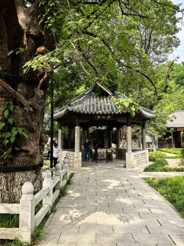 范公亭公园旅行图片 1