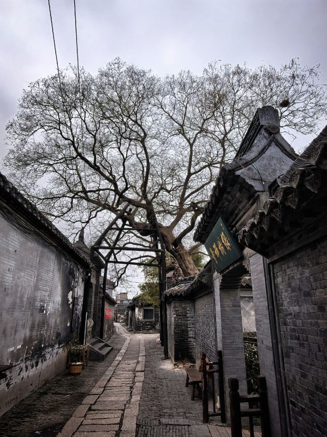溱潼古镇旅游区旅行图片 1